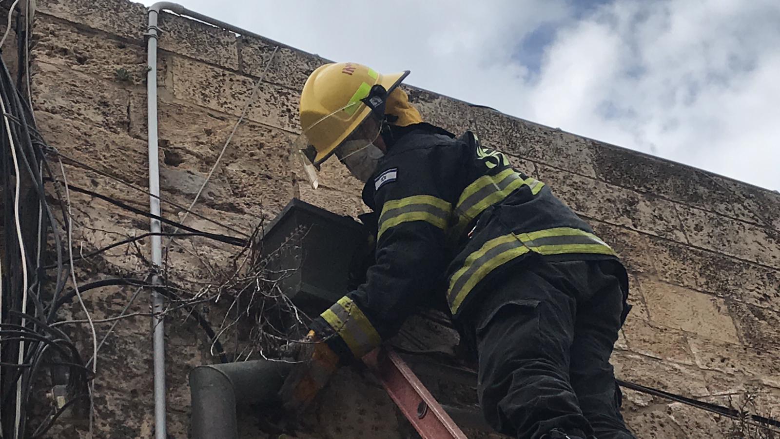 WhatsApp Image 2020-04-25 at 1.57.08 PM (1).jpeg.jpeg